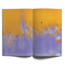 Load image into Gallery viewer, LAY—OUT no. 11: <br>Ben  Tousley