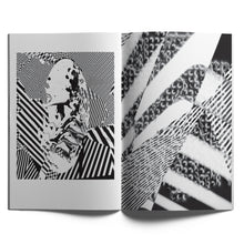 Load image into Gallery viewer, LAY—OUT no. 3: <br>Suzy Poling