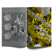 Load image into Gallery viewer, LAY—OUT no. 3: <br>Suzy Poling